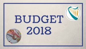 Budget 2018 Icon