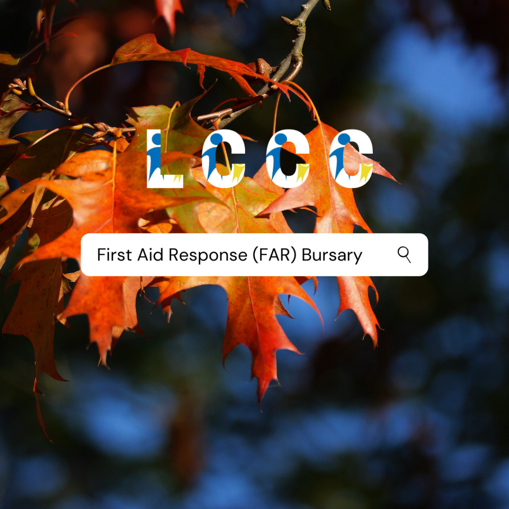 Longford Childcare Committee